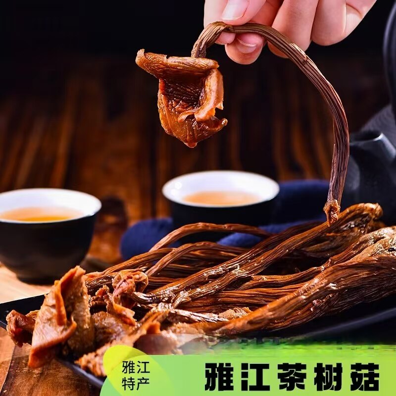 青藏高原茶树菇农家香菇干货108g四川雅江特产菌菇煲汤家用商用