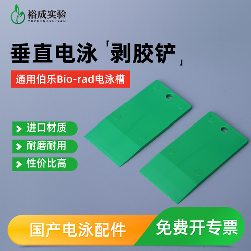 琼脂糖凝胶电泳剥胶铲裕成实验