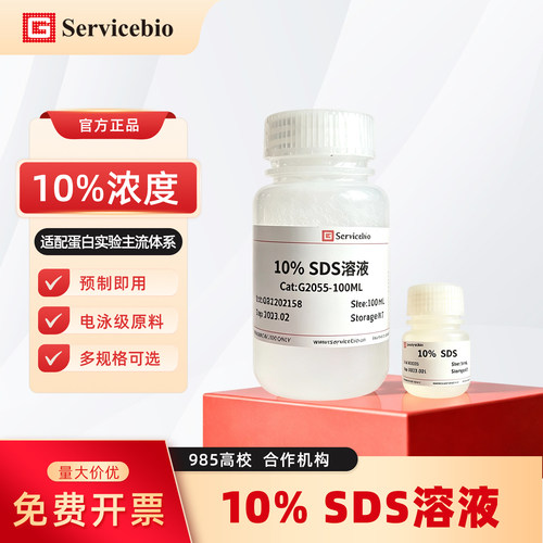 赛维尔生物 G2055 10% SDS溶液十二烷基硫酸钠溶剂溶液 浓度精准