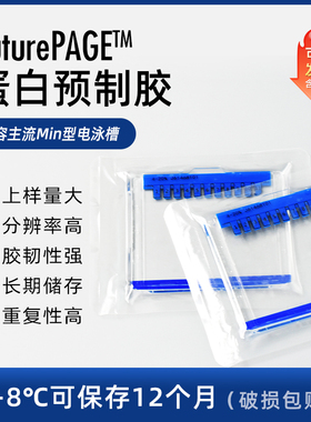 Western blot 蛋白预制胶 sds-page 电泳蛋白胶 MOPS 体系电泳胶