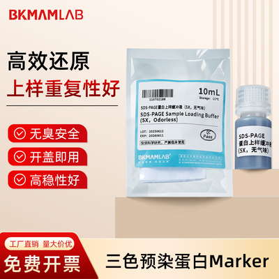 BKMAMLAB比克曼 SDS-PAGE蛋白上样缓冲液5X无气味10mlTCEP还原剂