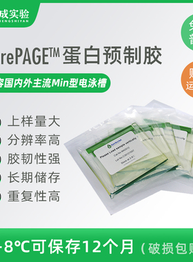 金斯瑞 蛋白预制胶  SDS-PAGE电泳蛋白胶 MOPS体系梯度电泳胶板