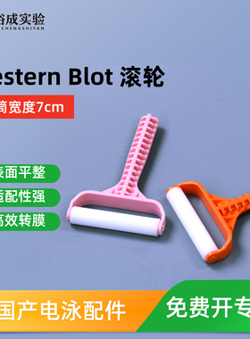 裕成实验Western Blot 转膜滚筒 转膜气泡滚 滚轮转膜赶气泡工具