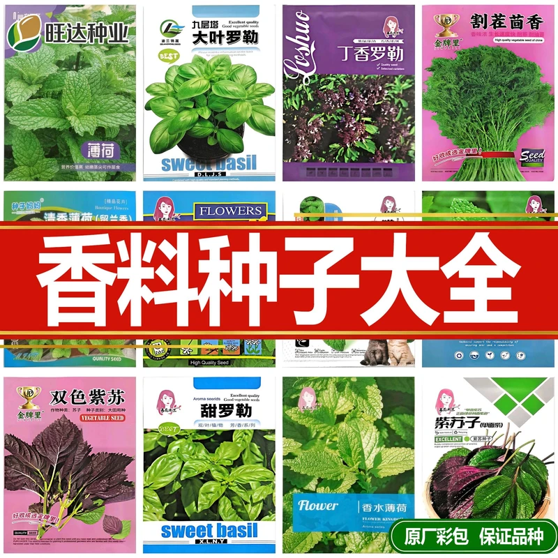香料种子大全四季高产易活图片