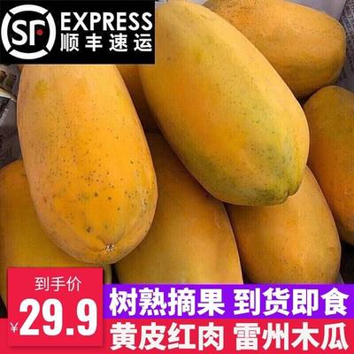 木瓜新鲜树上熟5斤雷州冰糖红心牛奶下奶甜番青海南水果整箱包邮