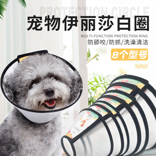 成都发货伊丽莎白圈宠物防护罩