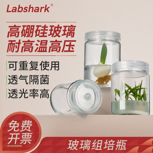 Labshark玻璃组培瓶实验室专用