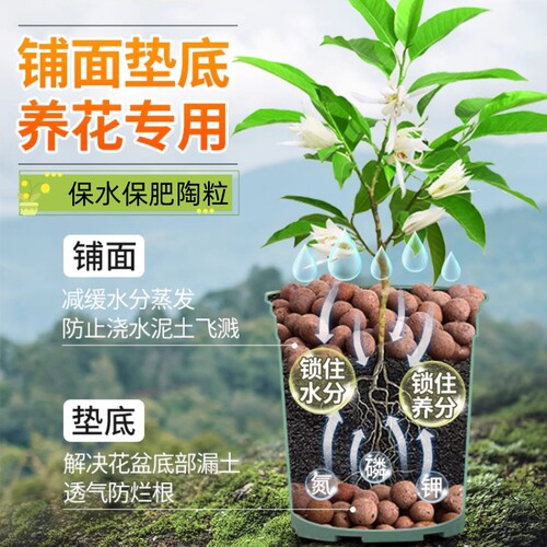 陶粒垫底养花专用多肉