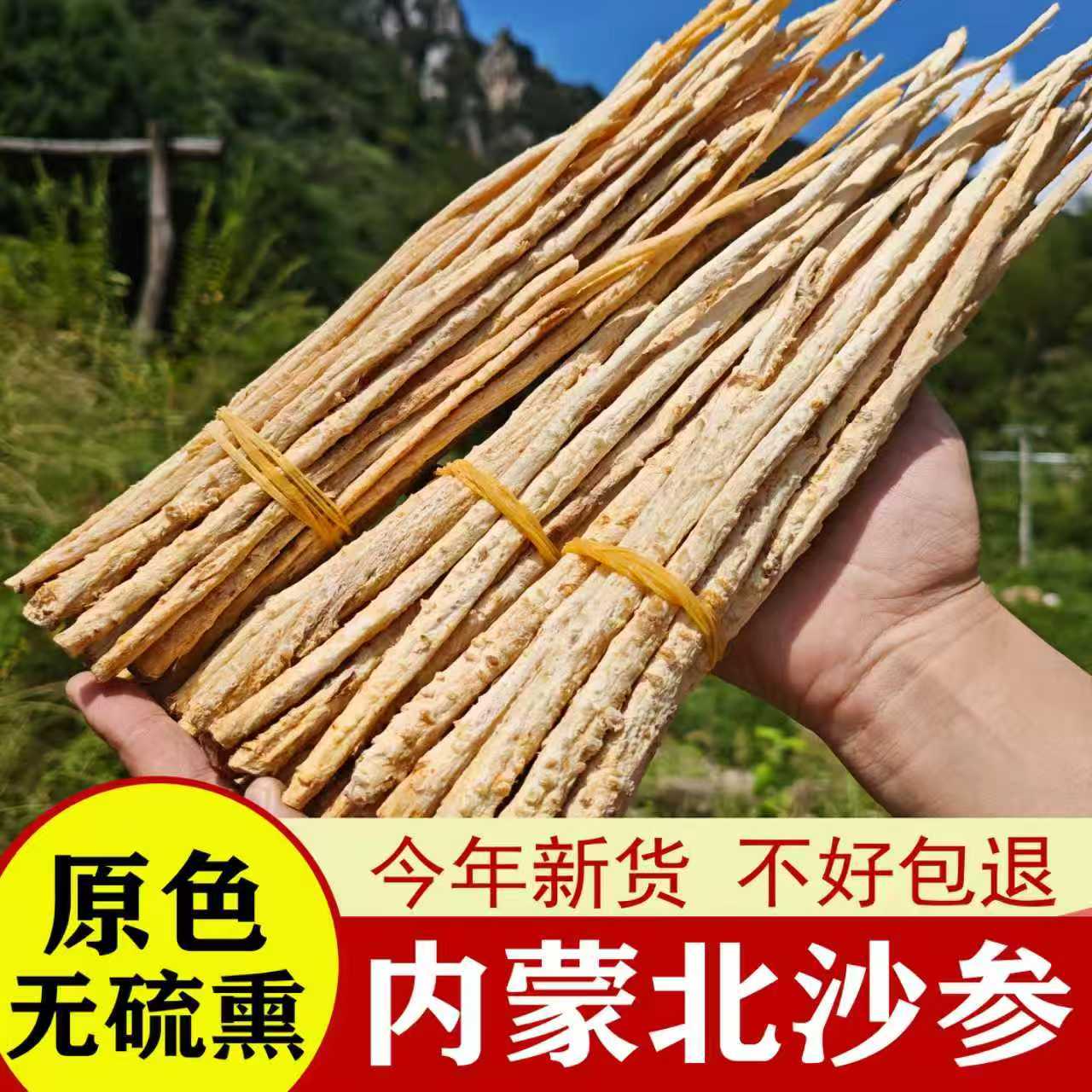 内蒙古沙参中药材正品无硫熏干货北沙参野生北沙参条泡水煲汤料