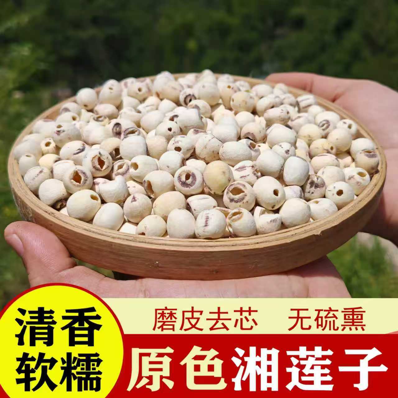 白莲子干货大粒去芯磨皮特莲去心