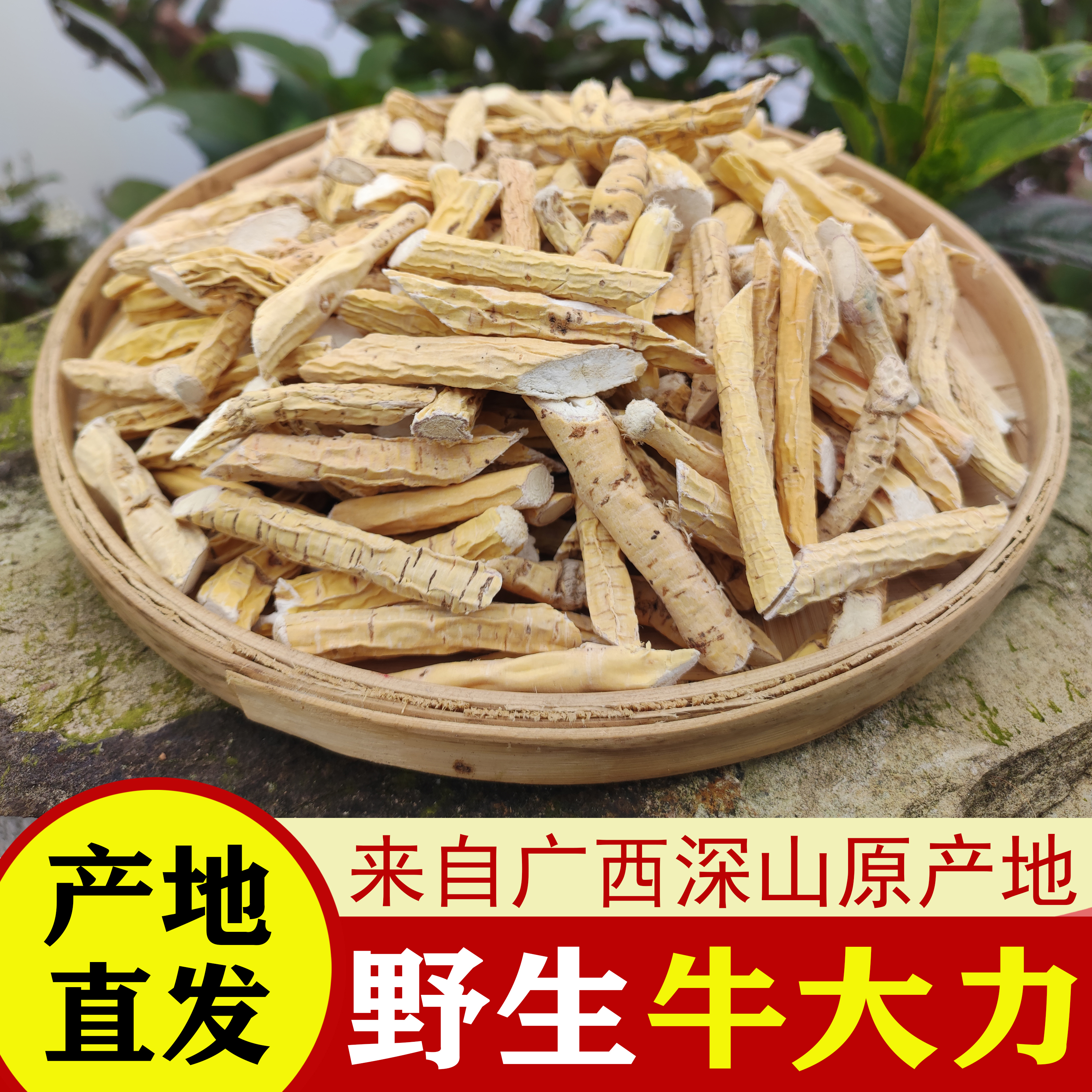 正宗野生牛大力新鲜中药材干货煲汤泡酒大力薯500g五指毛桃汤料包