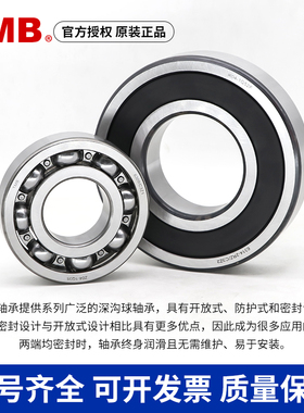 天马轴承TMB 6018 6019 6020 6021 6022 6024 -2RS 2RZ/C3Z1