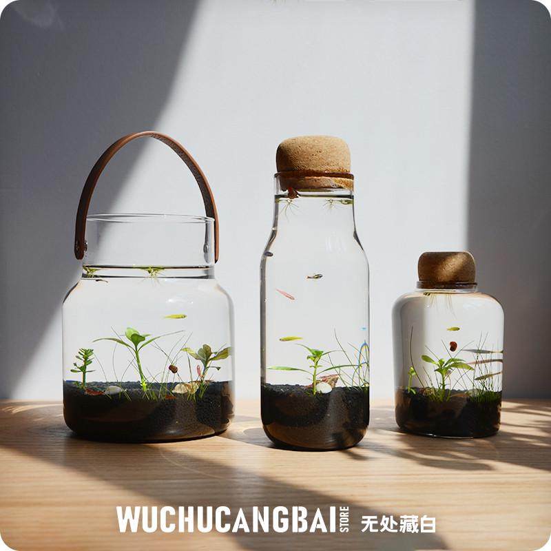 生态瓶微景观鱼造景DIY小鱼缸水族办公桌面客厅观赏免换水