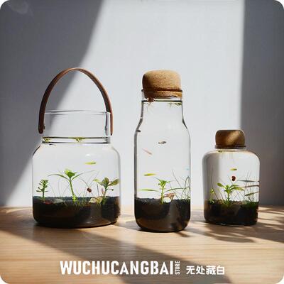 生态瓶微景观鱼造景DIY小鱼缸水族办公桌面客厅观赏免换水