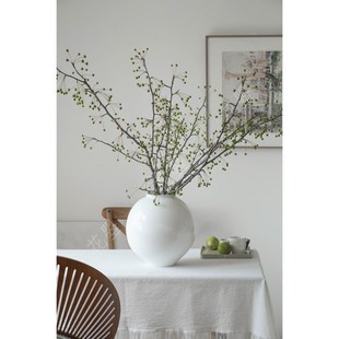 花曌 夏季时令花材果材海棠果棠梨果鲜切枝条水养餐桌家居瓶插花