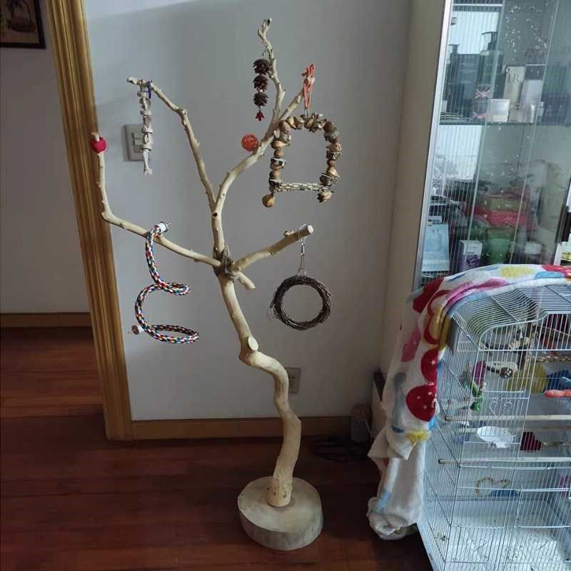 干树枝原木树杈鸟架造型实木落地灯架H干枯枝艺术龙骨吊顶衣架装图片