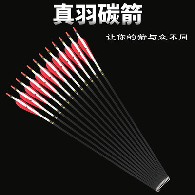 真羽混碳箭弓箭箭支美猎反曲直拉弓500扰碳箭支传统弓真羽练习箭