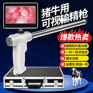 猪牛用可视输精枪高清液晶屏猪用输精枪兽用驴马人工授精设备器械