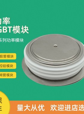 可控硅晶闸管T4021N52TOF T4021N53TOF T281N60TOF T281N65TOF