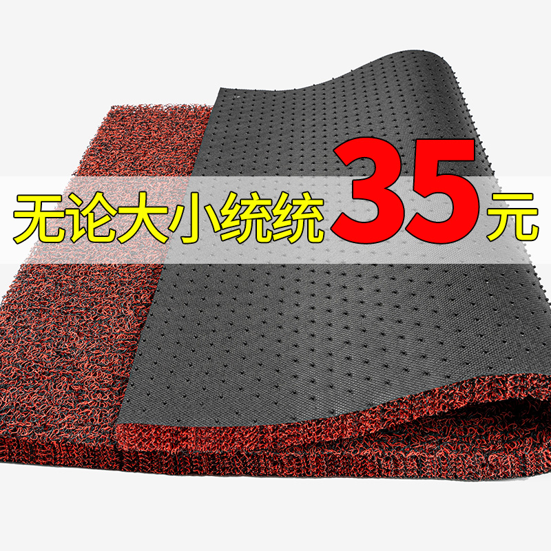 入户门地垫丝圈脚垫门口进门地毯家用防滑门垫地毡垫子室内可裁剪