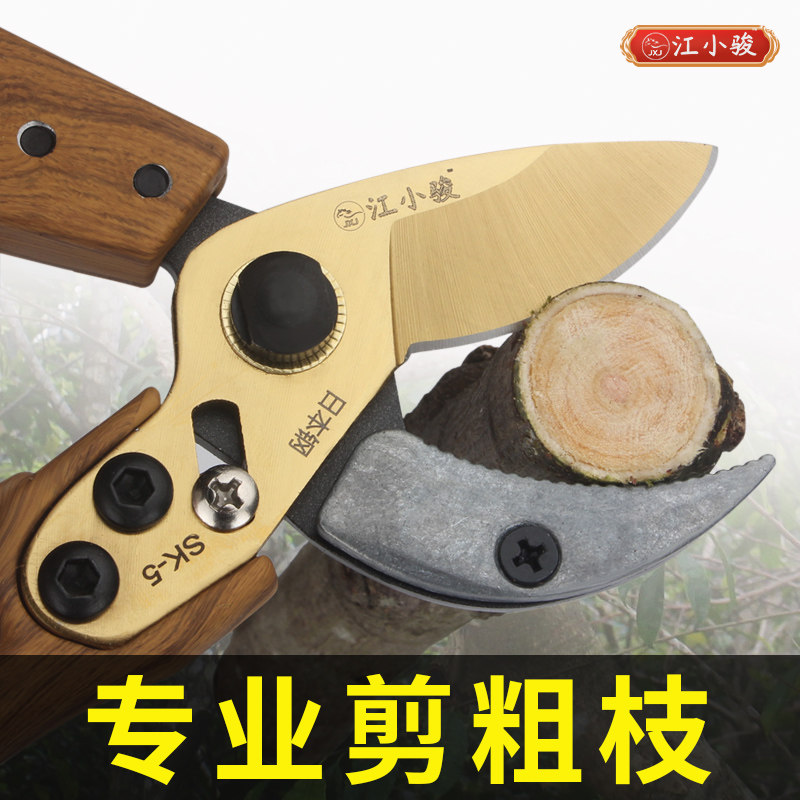 园林剪果树剪高硬度修枝剪省力树枝剪枝粗枝园艺修枝剪修花剪刀图片