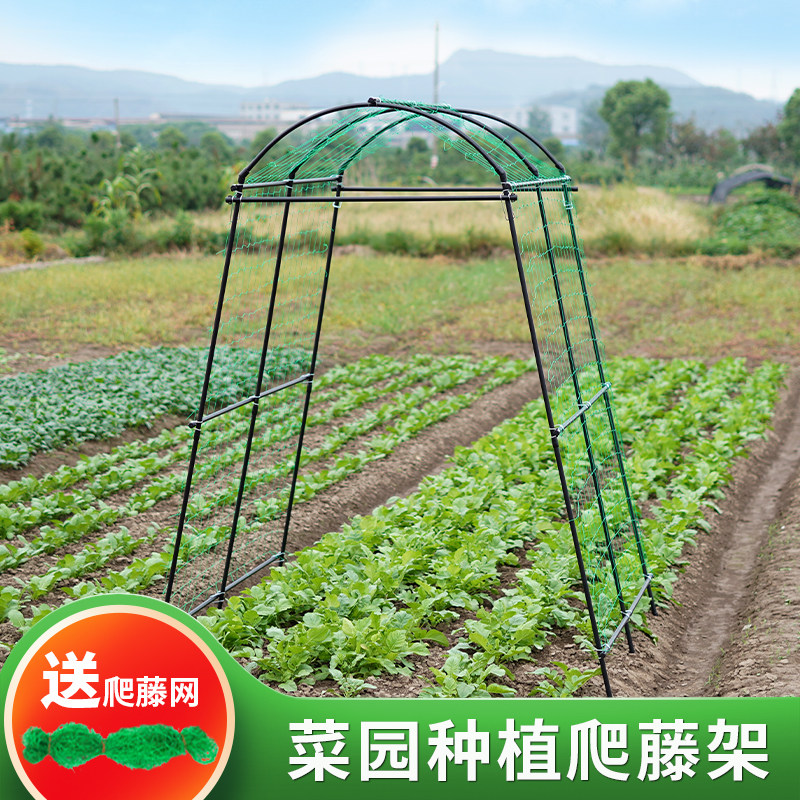 种菜支架花盆园艺葡萄架子室外盆栽庭院支撑柱户外攀爬架南瓜架子图片