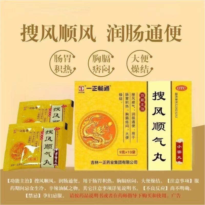 [一正]搜风顺气丸0.2g*45丸*10袋/盒