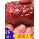 新鲜免洗骏枣特产零食大枣子 新疆特级和田大枣特大红枣整箱5斤装