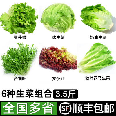 新鲜沙拉蔬菜组合3.5斤 球生菜红叶绿叶生菜轻食生吃沙拉食材