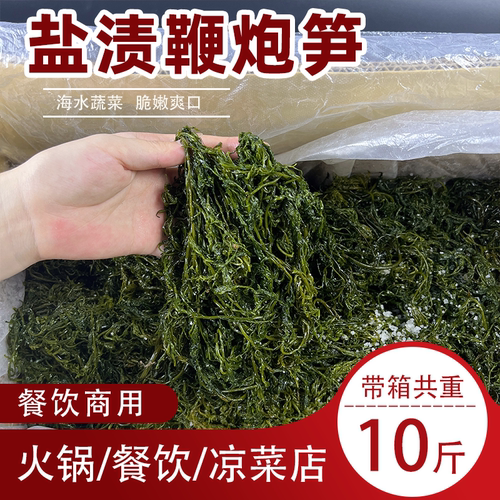 新鲜马尾藻商用食材鞭炮笋一箱10斤凉拌菜海草冒菜麻辣烫火锅串串