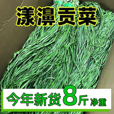 识蜀记云南贡菜干苔菜商用凉拌菜
