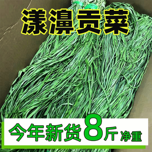 识蜀记云南贡菜干苔菜商用凉拌菜