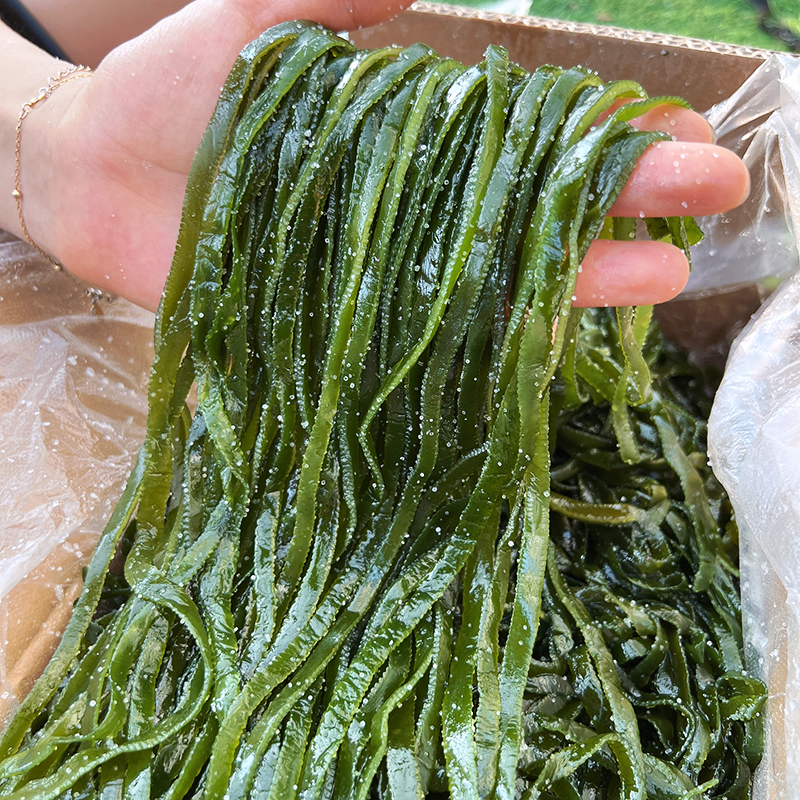 8斤装荣成海带丝商用盐渍长厚海带丝餐饮小吃炸串凉拌菜食材新鲜-封面