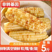 云南西双版 加热即食新鲜香甜软糯玉米棒早餐 纳香糯小玉米真空包装