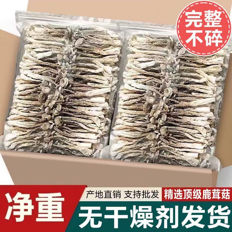 【净重无干燥剂】鹿茸菇干货无熏硫新鲜整根鹿茸菌鹿耳菇煲汤批发