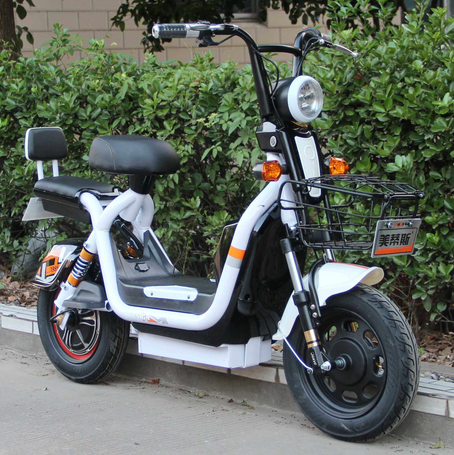 出口贝莱茵简易款电动车电单车双人电动车 厂家直销 低价格电瓶车