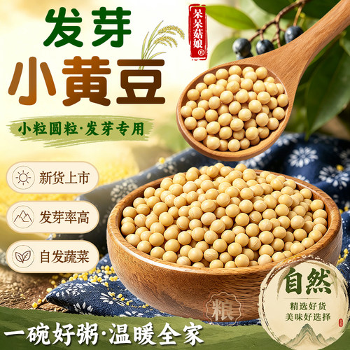 呆呆菇娘发芽黄豆当季新豆