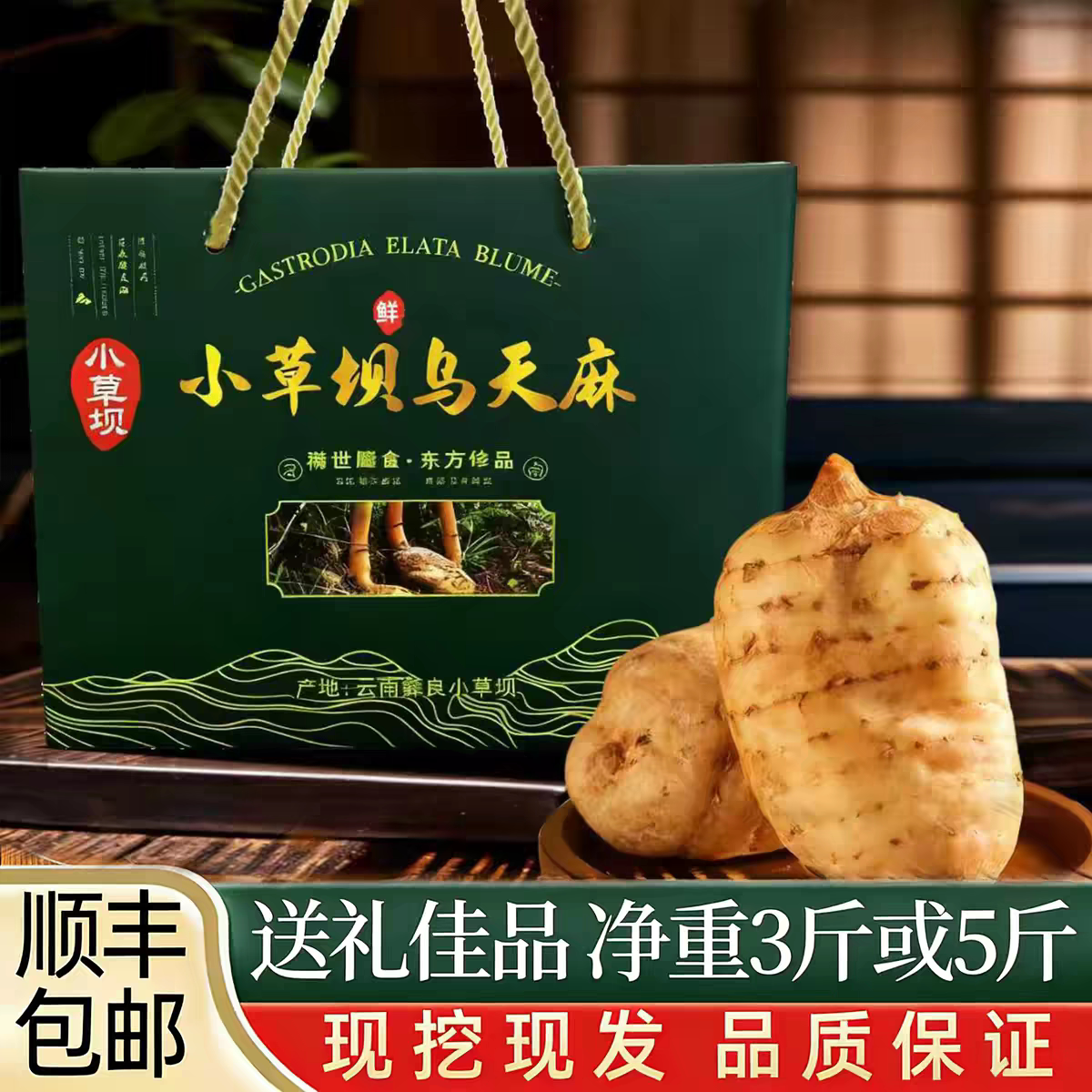 云南天麻昭通小草坝新鲜天麻现挖现发仿野生特级天麻礼盒送礼特产
