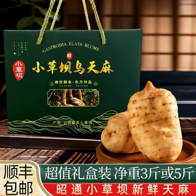 云南昭通小草坝天麻新鲜天麻仿野生特级礼盒装天麻新鲜送礼特产