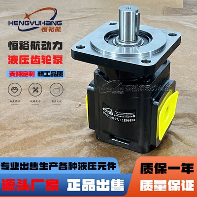 HENGYUHANG液压泵替换DAVID BROWN齿轮泵R1A5073G5A1 HYDRECO油泵