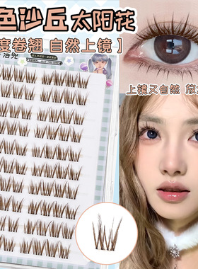 棕色沙丘！免胶假睫毛妈生自然睫