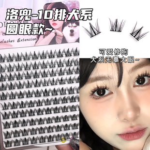 圆溜溜无辜犬系假睫毛大容量细黑梗自然单簇浓密上镜三部曲眼睫毛