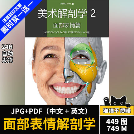 面部表情艺用解剖 面部肌肉绘画推荐 头部教程 美术参考资料
