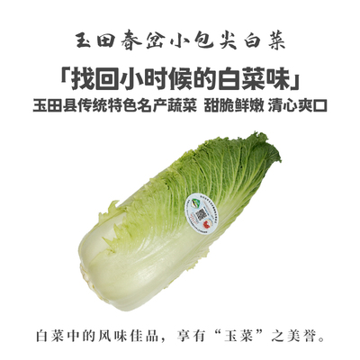 炫彩甄选 玉田小白菜新鲜蔬菜包尖小白菜叶菜类农家自种现摘现发