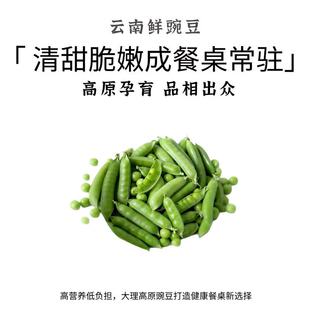 云南新鲜豌豆清甜脆嫩高原孕育餐桌常驻300g新鲜蔬菜高营养健康豆