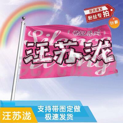 汪苏泷应援大旗明星帜演唱