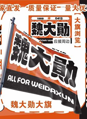 魏大勋大旗明星演唱会魏大勋应援大旗户外打卡音乐节应援旗定制