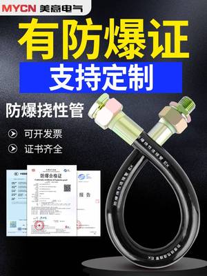 防爆挠性连接管BNG防爆软管4分挠性管穿线管DN20防爆管DN15可定制