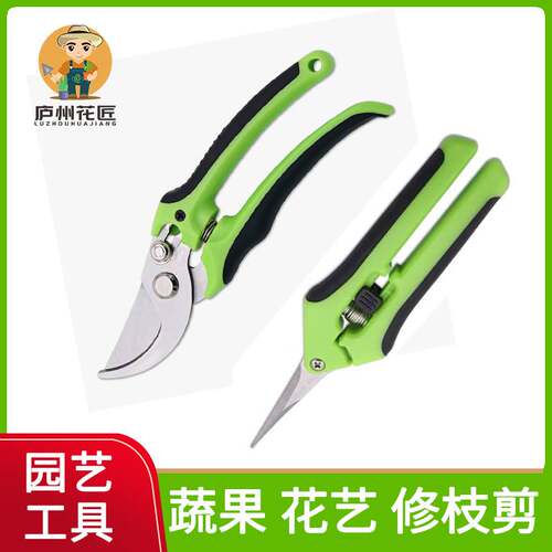 园艺剪刀修枝剪修剪树枝果树剪园林花卉省力防滑花艺剪子