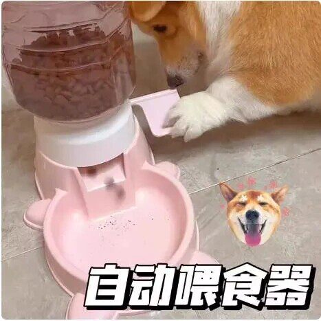 狗狗自助喂食器按压大容量脚踩智力投食器手动喂食器狗粮碗食具